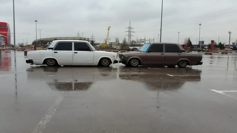 Цвет кориандр 2106