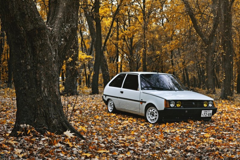 ЗАЗ 1102 стенс