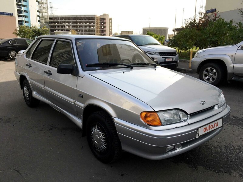 Пятнашка морда