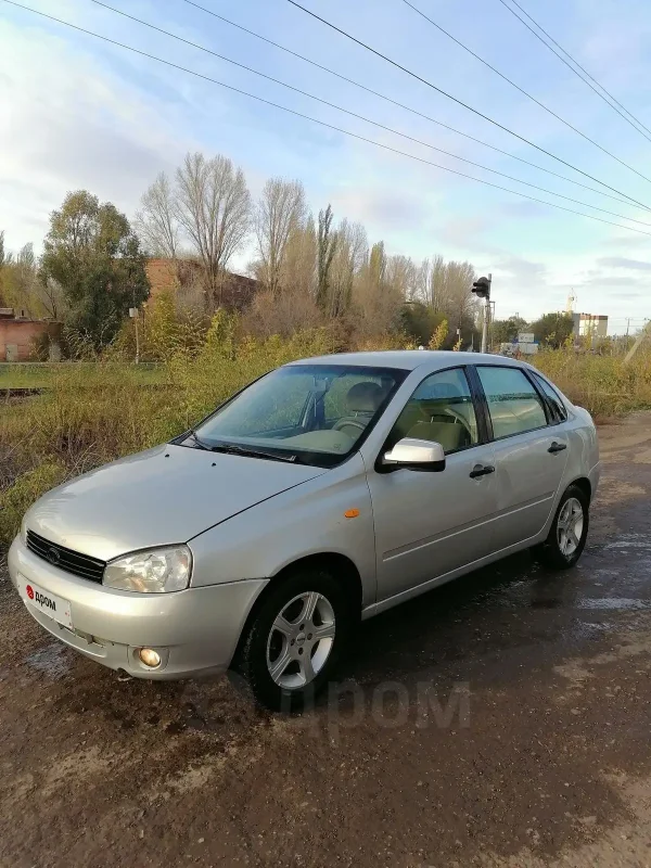 Калина 2009 года