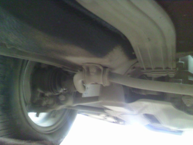 Калина 2 вид снизу