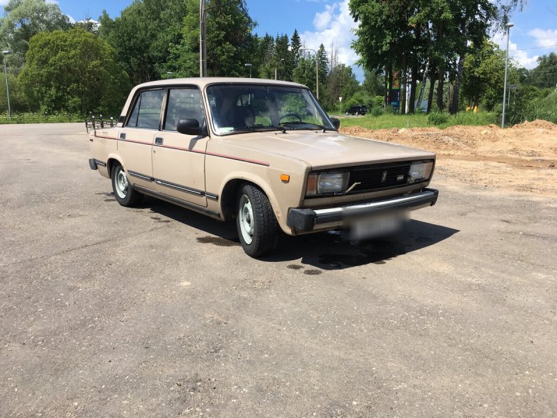 2105 Сафари