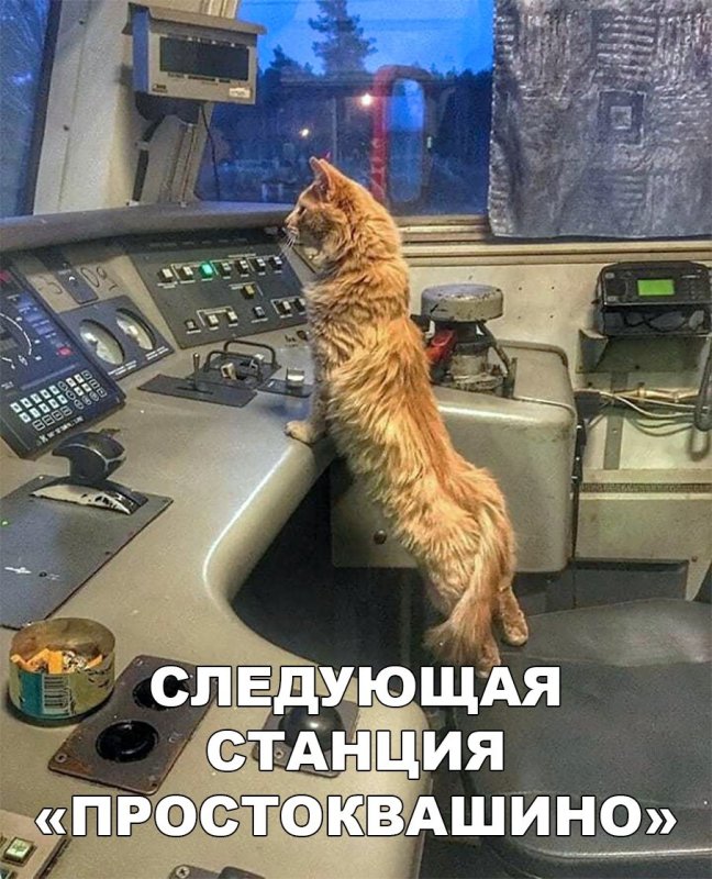 Вагон для животных