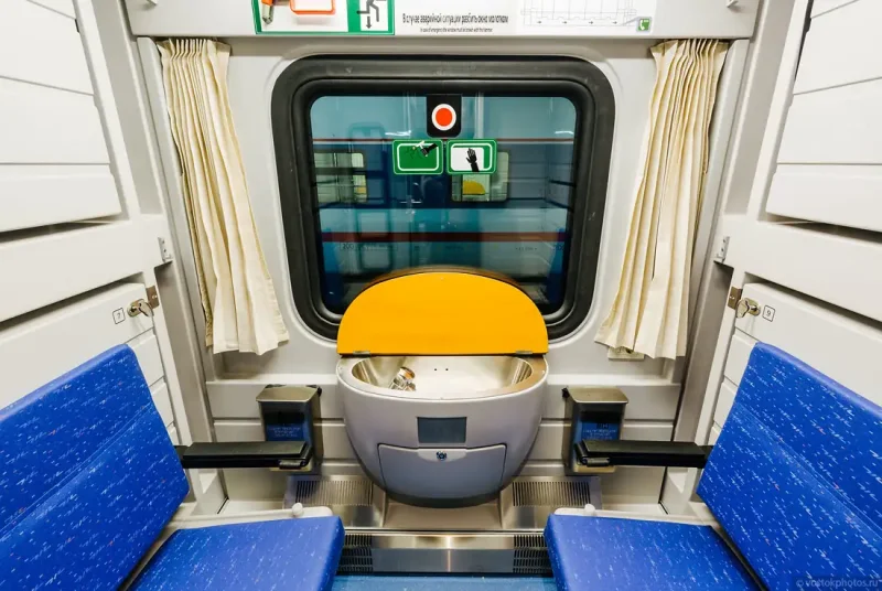 Стриж вагоны Talgo
