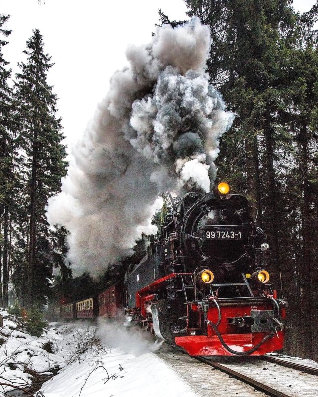 Паровоз в лесу