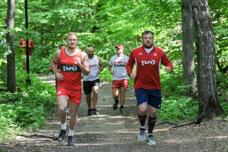 Франтишек Палик чс4t