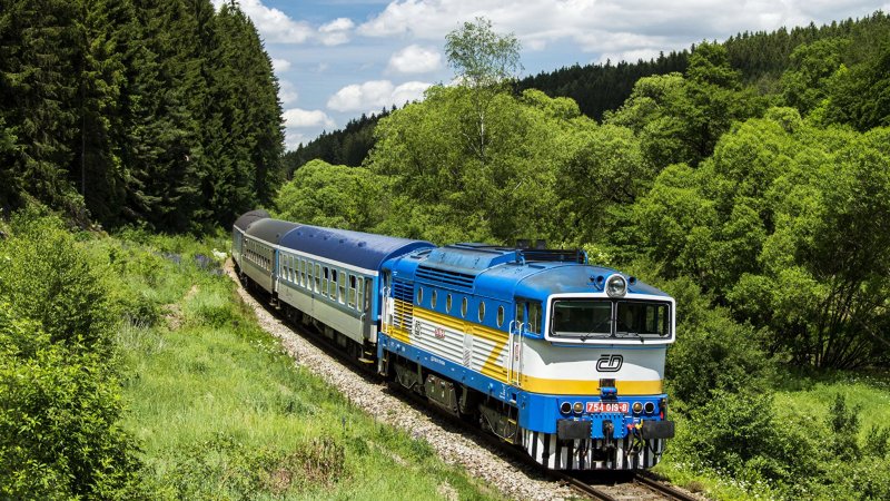 Поезд в лесу