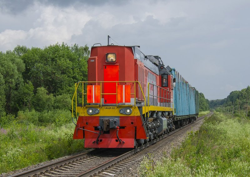 Тэм28 тепловоз