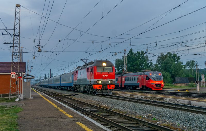 Дизель-поезд д1 Венгрия