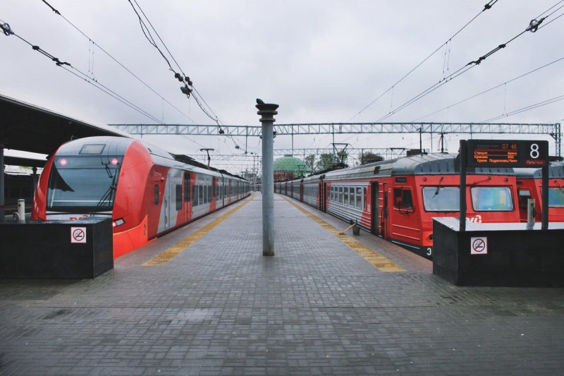 Ласточка Кострома Москва