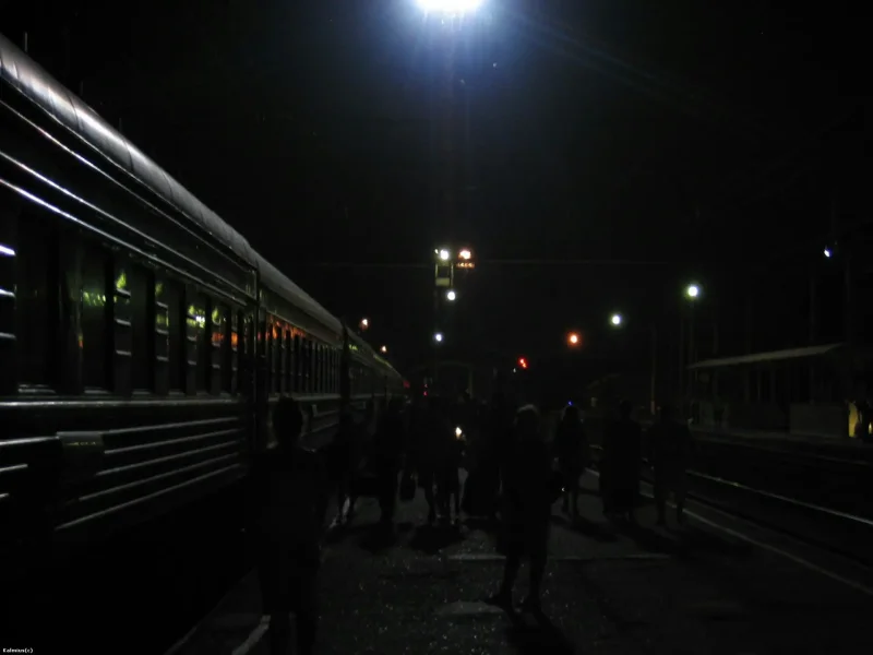 Пейзаж за окном поезда