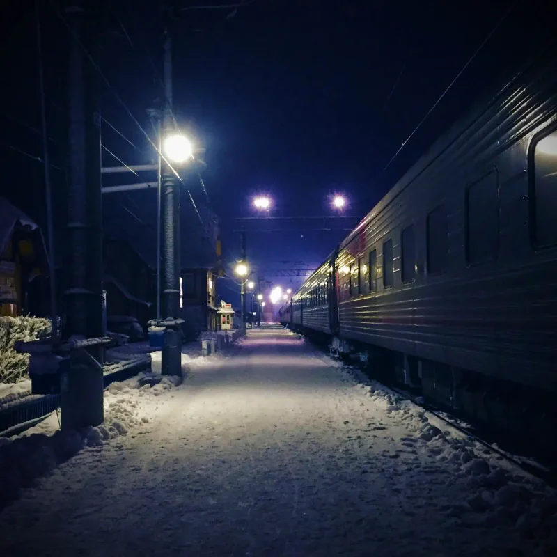 Зимний пейзаж из окна поезда