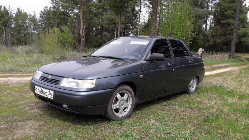 Цвет Снежная Королева фото