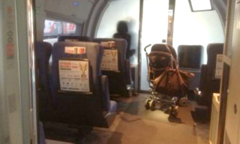 10 Вагон Сапсан детский