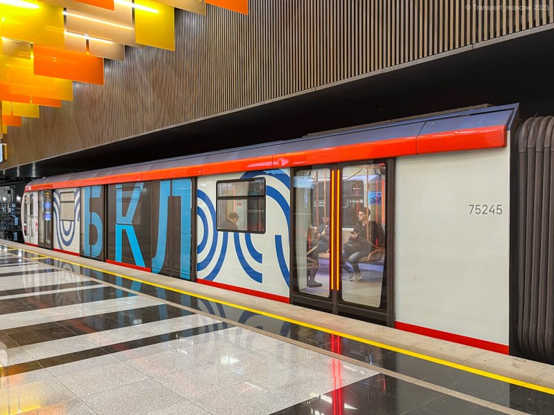 Метро 2020 поезд