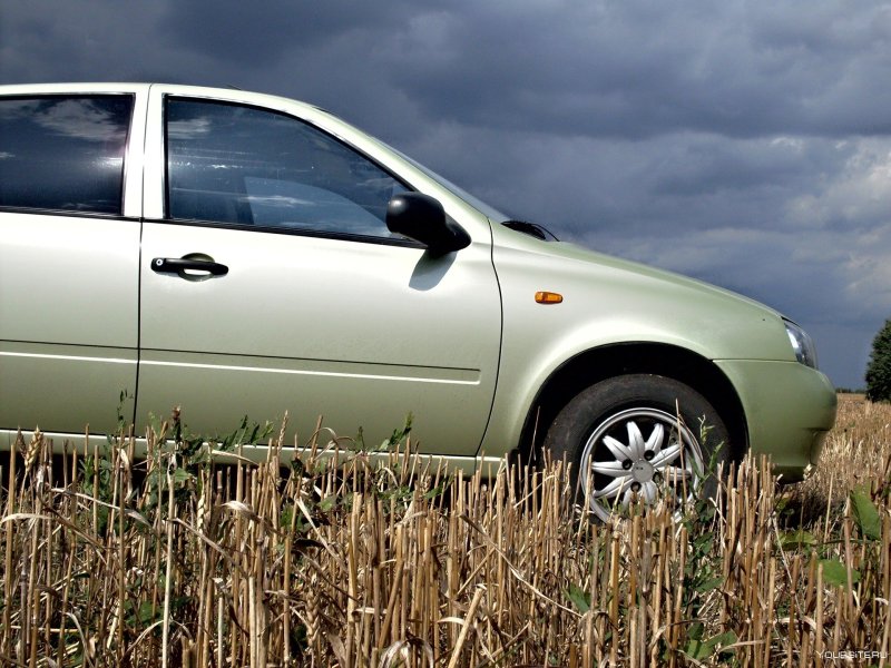 Лада крыжовник машина фото музей