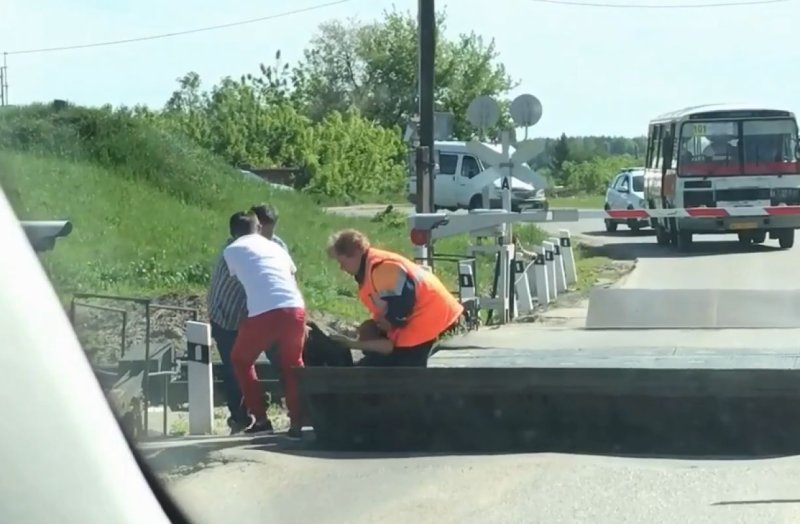 Полина Петрова поезд