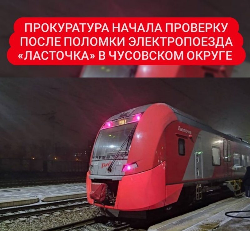 Ласточка Пермь 2