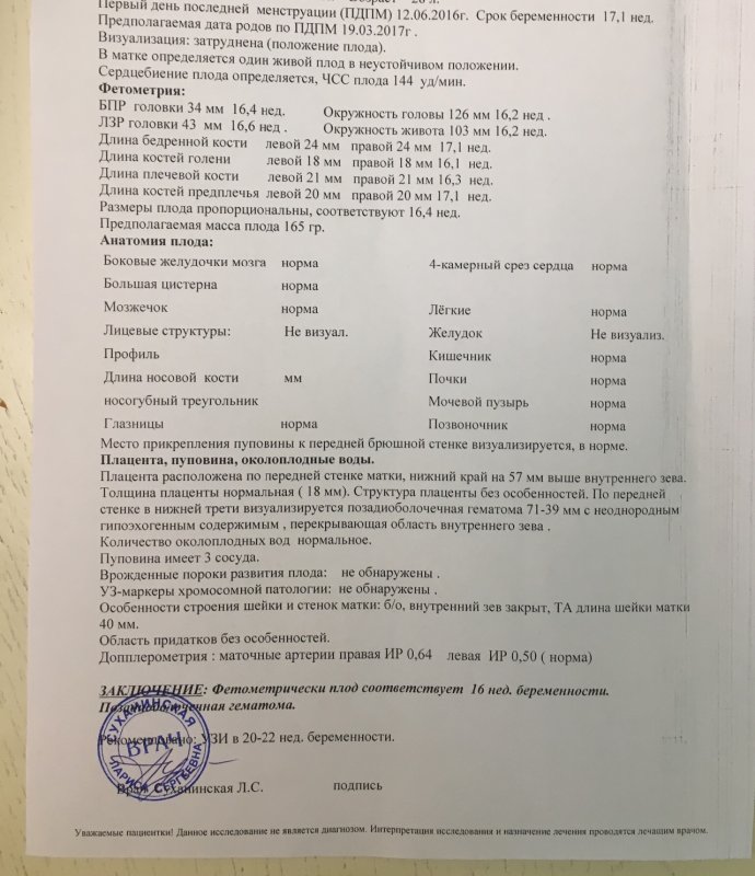 Нормы УЗИ во втором скрининге