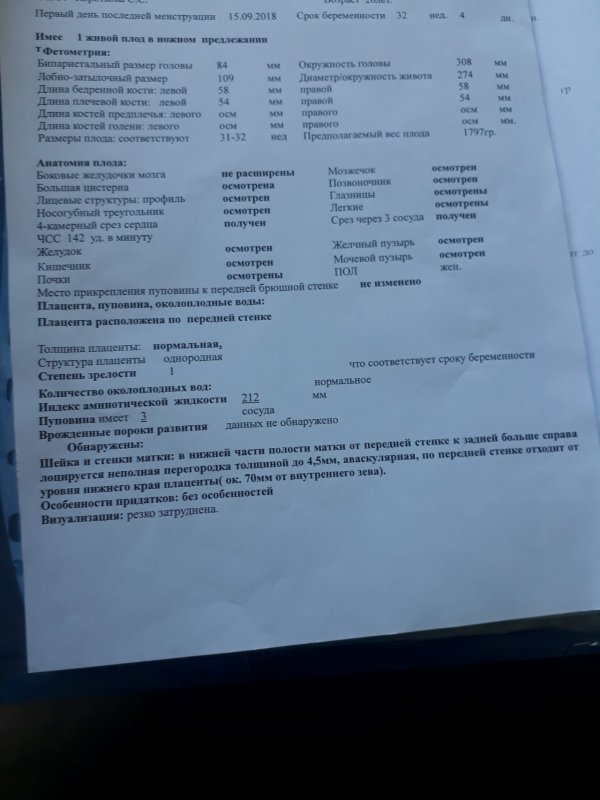Анатомия плода большая цистерна нормы