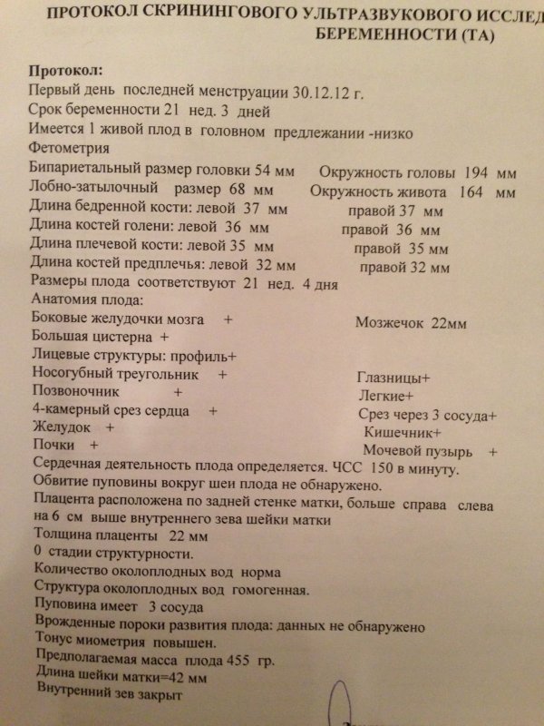 Большая цистерна на УЗИ