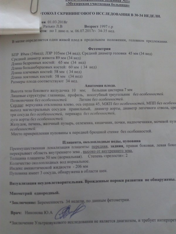 Протокол УЗИ 16 недель беременности