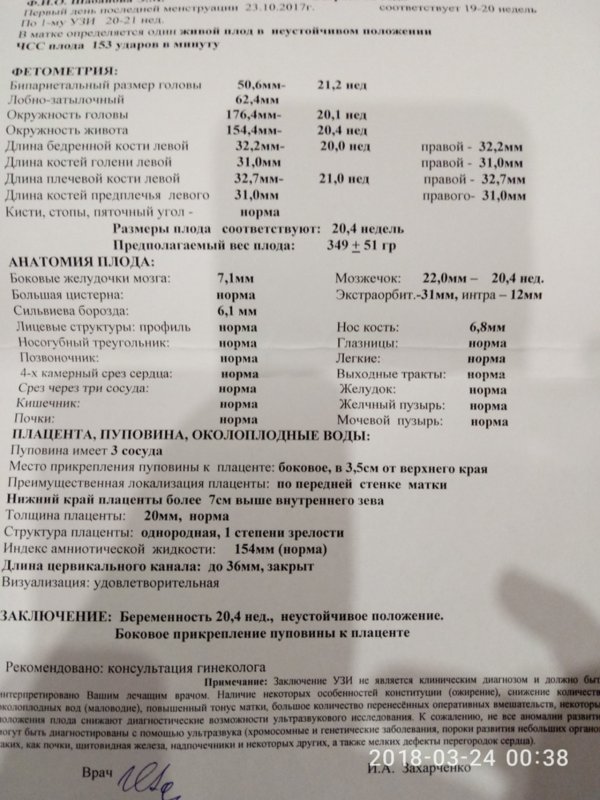 УЗИ 26 недель беременности показатели нормы
