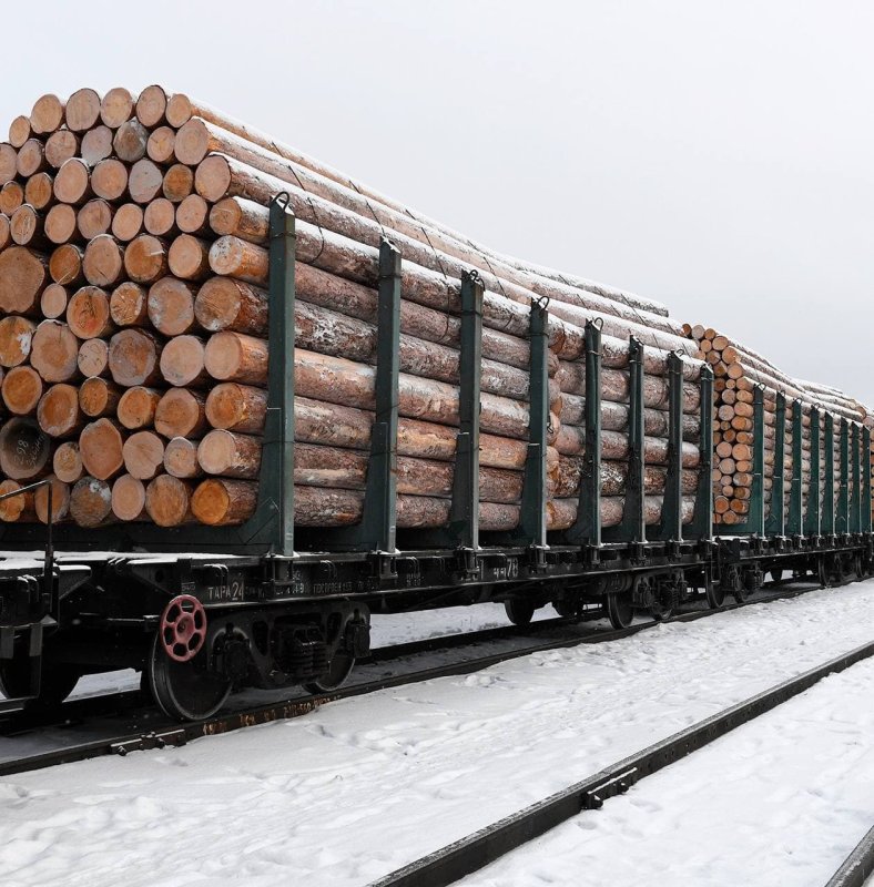 Погрузка круглого леса в полувагон