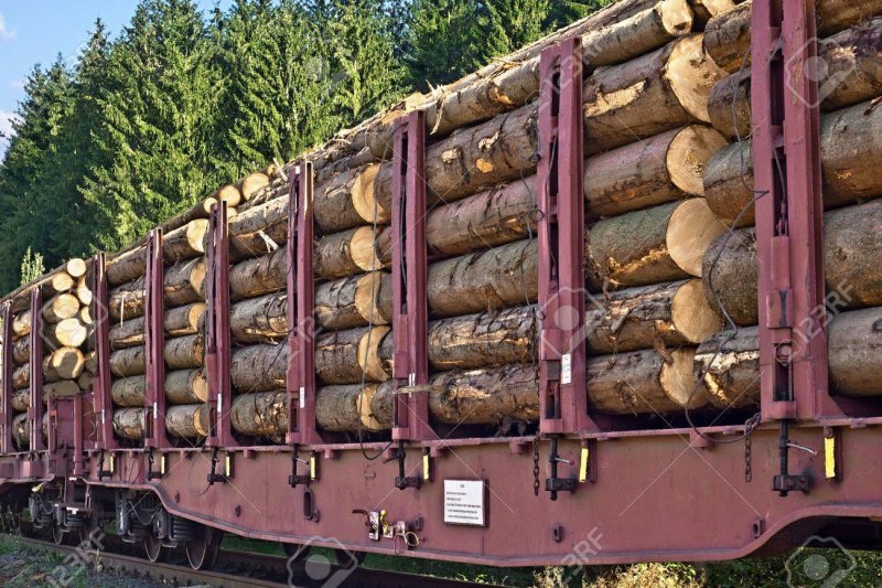 Погрузка леса в вагоны