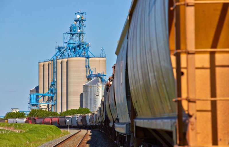 Железнодорожные перевозки зерна