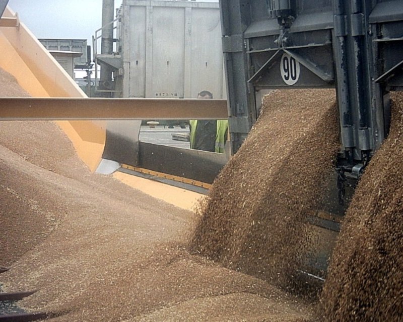 Разгрузка вагонов с зерном