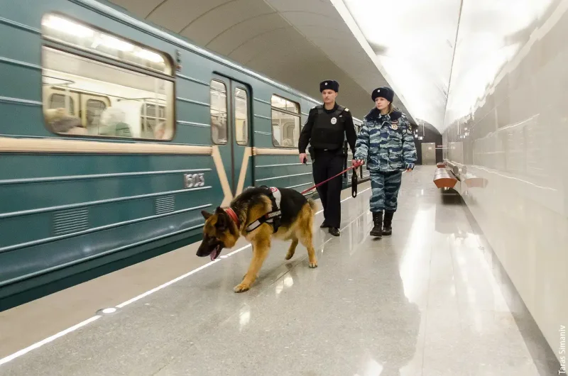 Наряд полиции