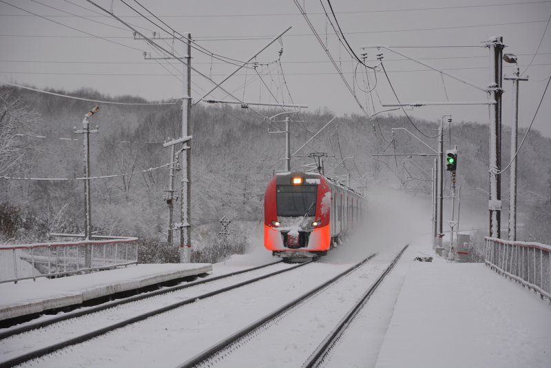 Ласточка Курск