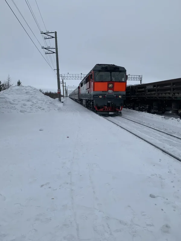 Поезд 110э Москва новый Уренгой
