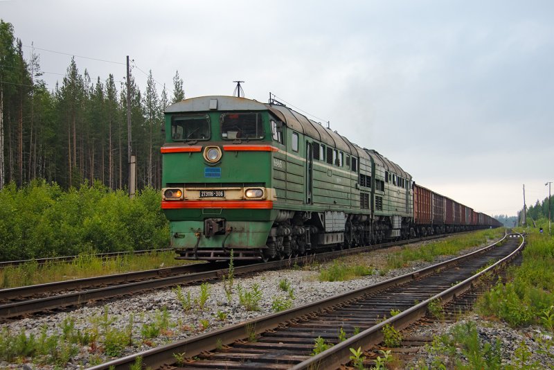 306с Сухум Москва