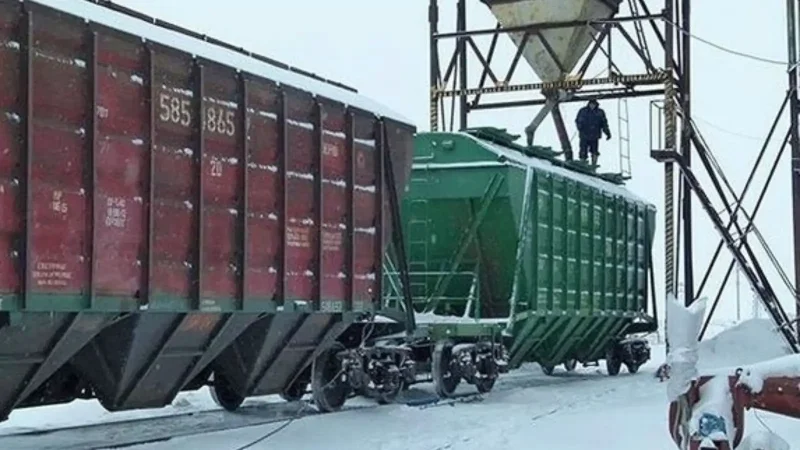 Погрузка крытых вагонов