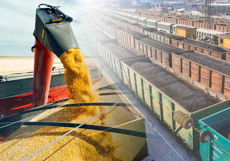 Вагон зерновоз разгрузка зерна