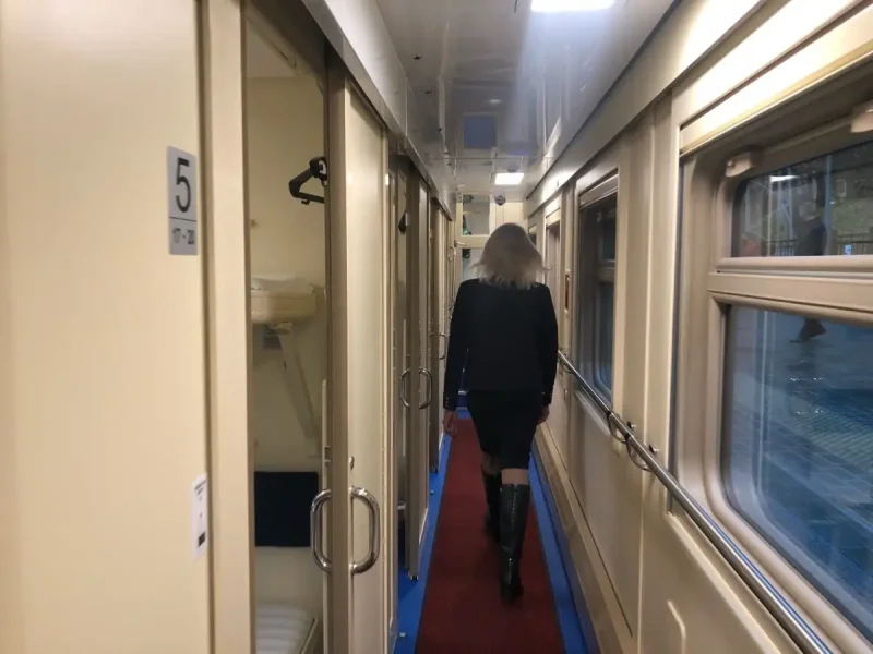 Двухэтажный вагон поезда Мурманск Санкт Петербург