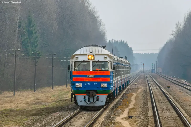 Др1а-198 - фото - TRAINPIX