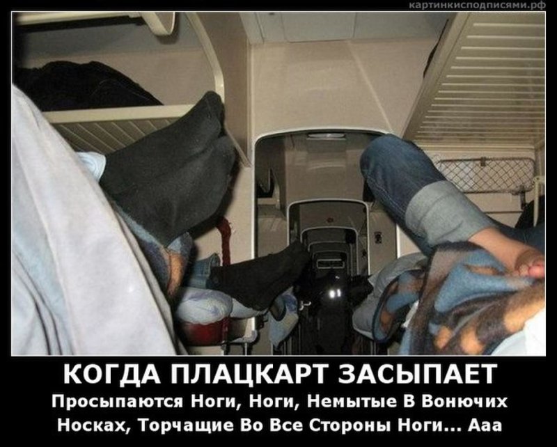 Женщины в плацкарте