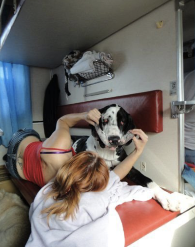 Мужчина в плацкарте
