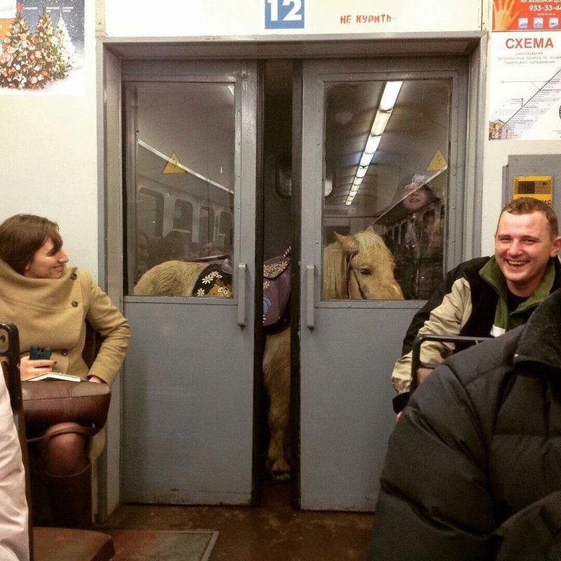 Элвис Пресли смешной