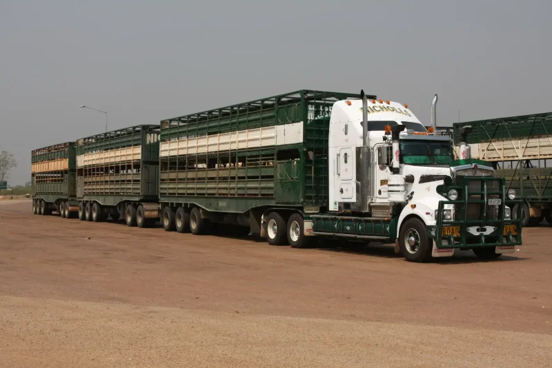 Автопоезда Австралии Kenworth
