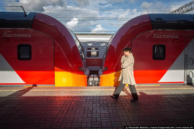РЖД Ласточка Москва Санкт-Петербург