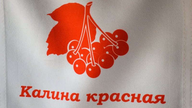 2тэ10м Бийск