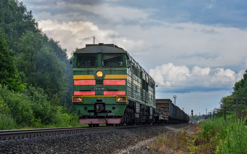 Тепловоз 2тэ116 1481