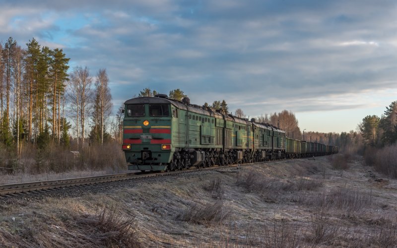 Северная железная дорога станция березовый