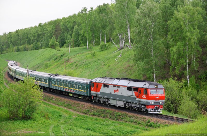 Бийская ветвь