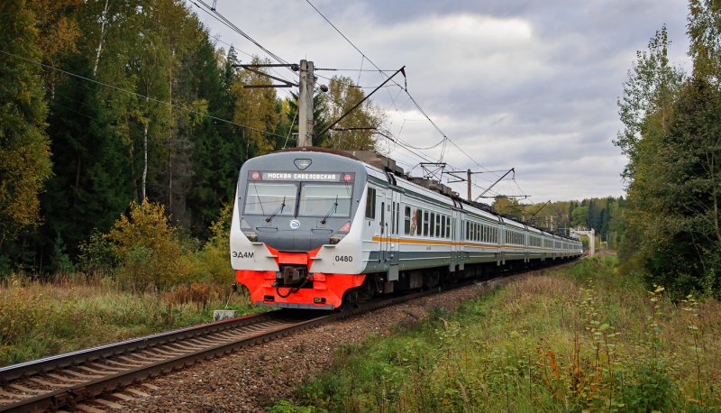 Эд4м 0377 Чайка