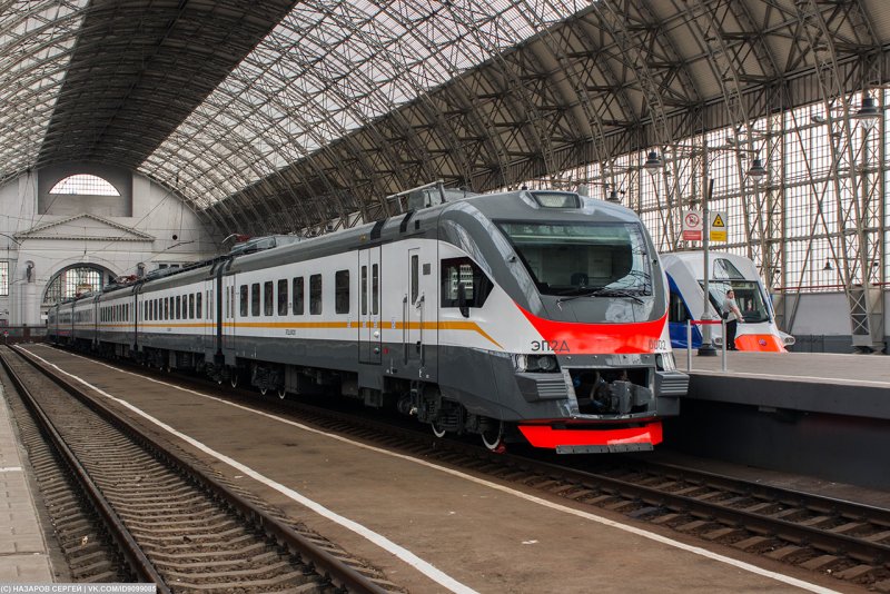 Эп2д рекс